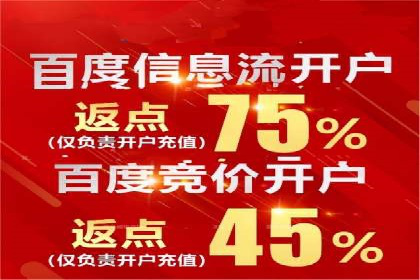 竞价广告的实战经验分享：某电商巨头的成功秘诀
